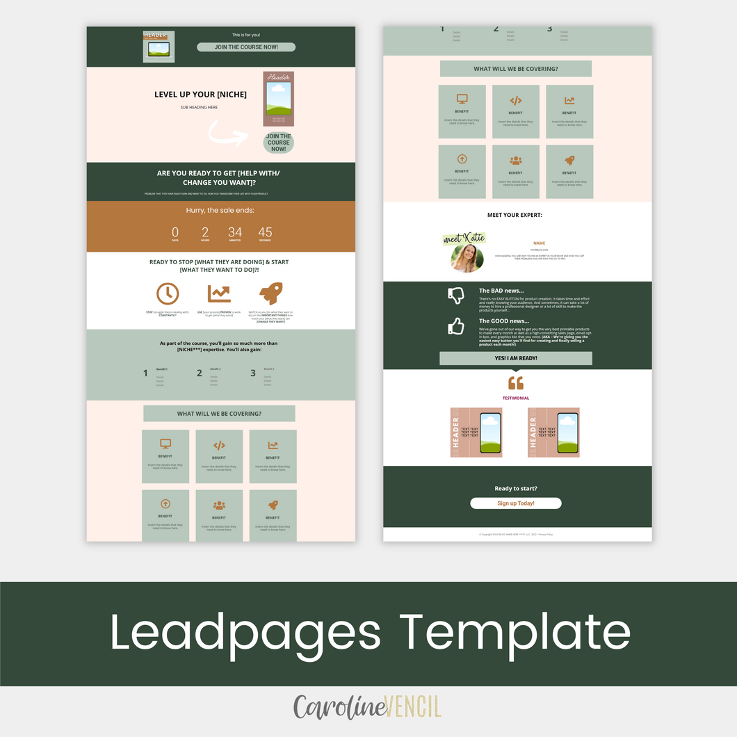 Customizable Mini Sales Page - Leadpages Template | Pine
