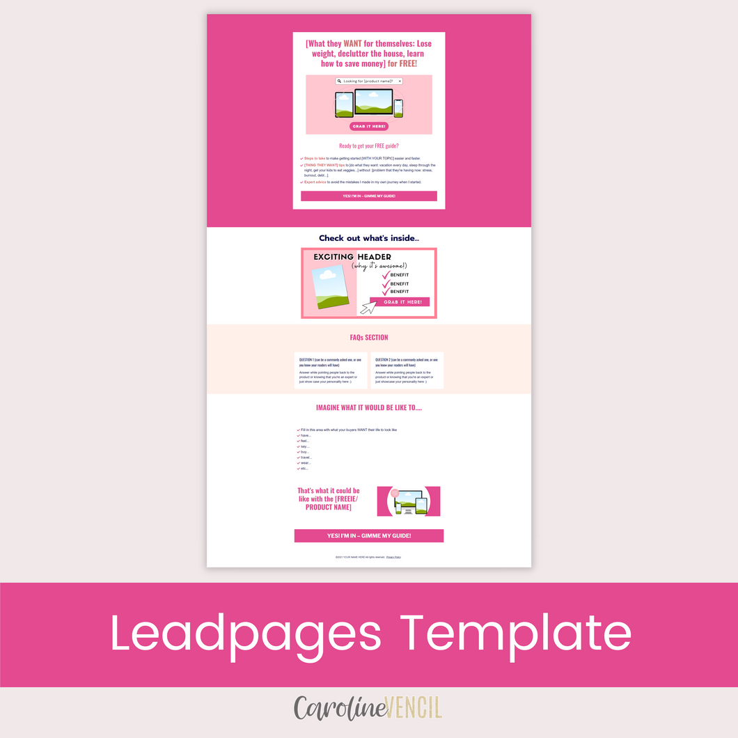 Lead Magnet or Freebie Page - Leadpages Template | Flamingo