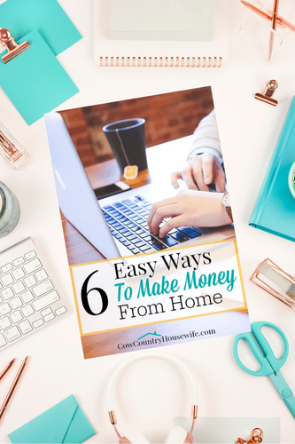 6 Easy Ways to Make Money from Home